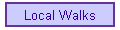 Local Walks